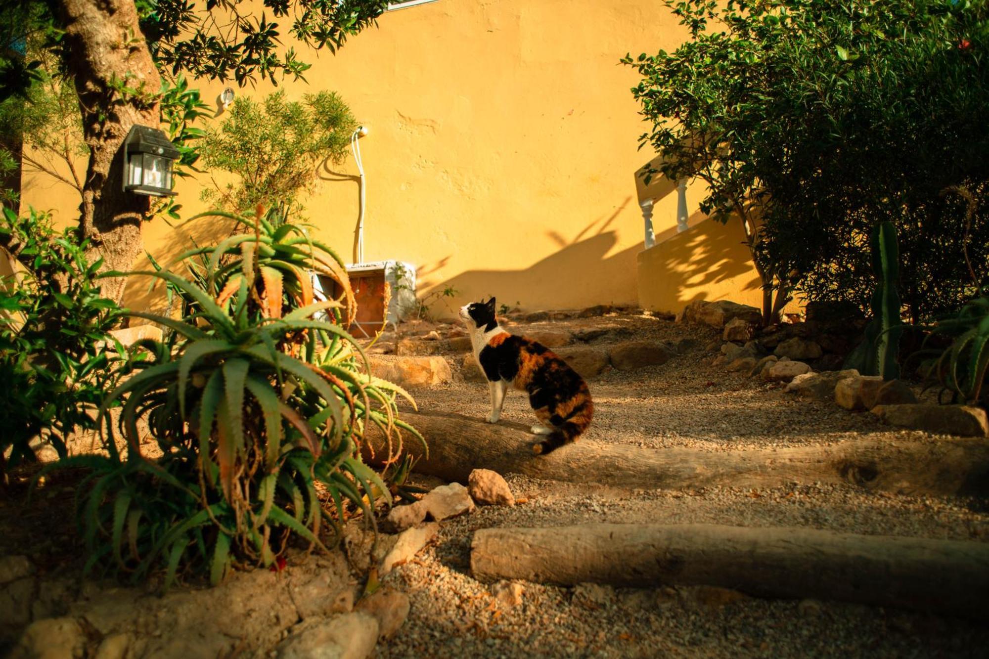 Bed and Breakfast Easy Going Imsouane Exterior foto